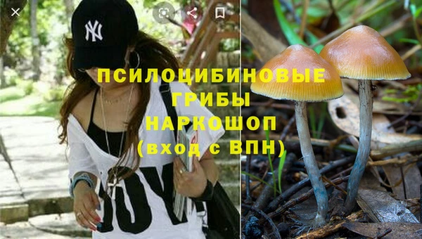 альфа пвп Гусь-Хрустальный