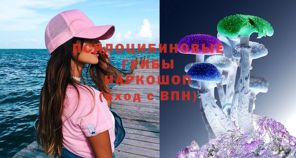 твердый Горнозаводск
