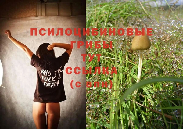 твердый Горнозаводск