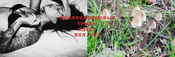 винт Горняк
