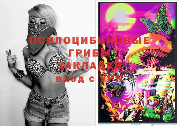 прущие крисы Гусев