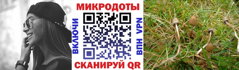 наркота  Зима  Псилоцибиновые грибы ЛСД 