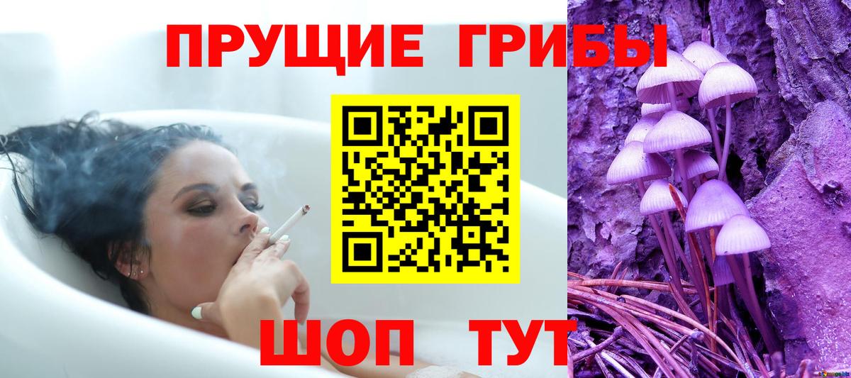 Галлюциногенные грибы мицелий Зима